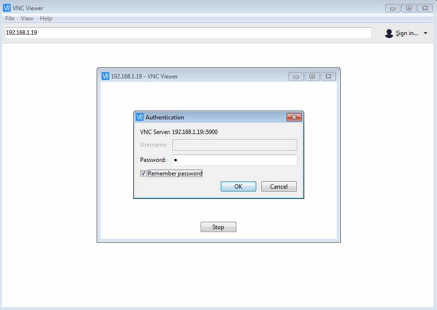 Enter Password Windows VNC Viewer